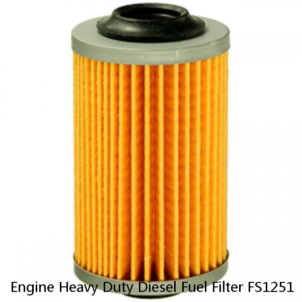 Engine Heavy Duty Diesel Fuel Filter FS1251
