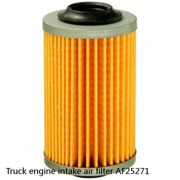 Truck engine intake air filter AF25271