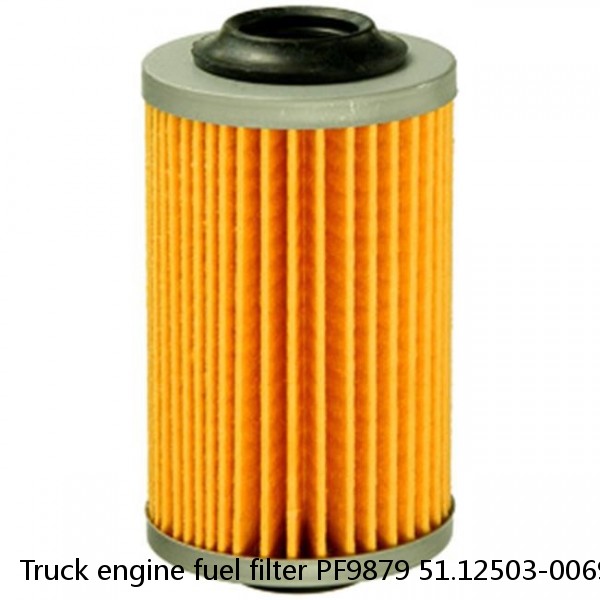 Truck engine fuel filter PF9879 51.12503-0069 E420KPD72