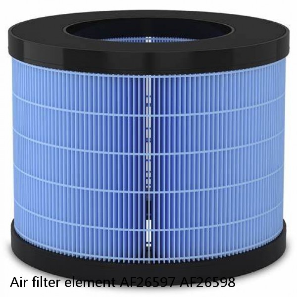 Air filter element AF26597 AF26598