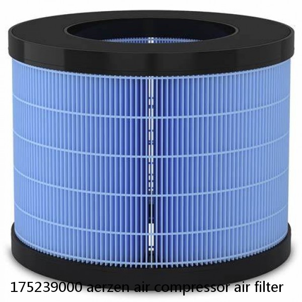 175239000 aerzen air compressor air filter