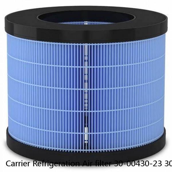 Carrier Refrigeration Air filter 30-00430-23 300043023