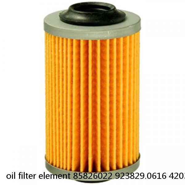 oil filter element 85826022 923829.0616 4203691 #1 small image