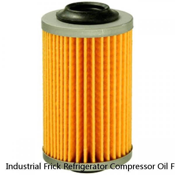 Industrial Frick Refrigerator Compressor Oil Filter 535A0354H02 #1 small image