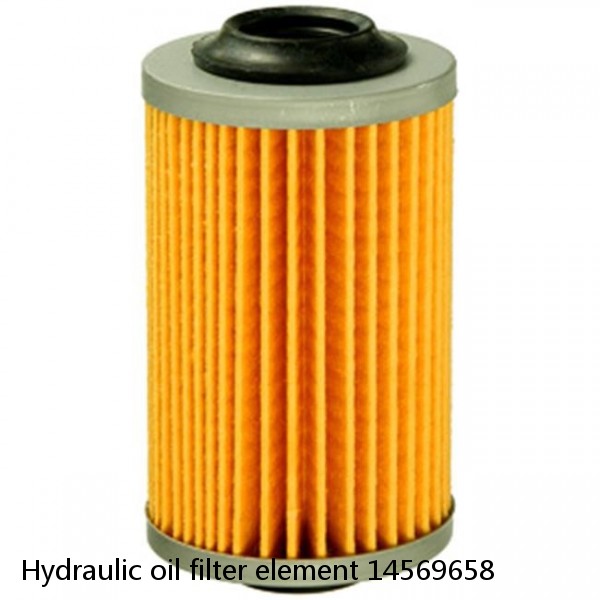 Hydraulic oil filter element 14569658 #1 small image