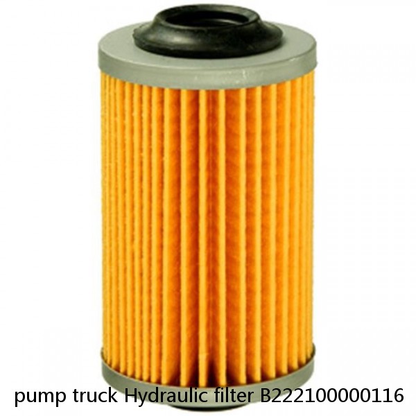 pump truck Hydraulic filter B222100000116 #1 small image