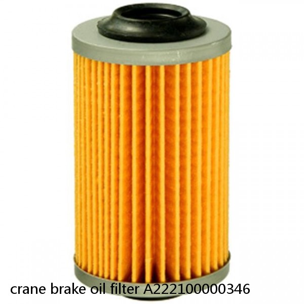 crane brake oil filter A222100000346 #1 small image