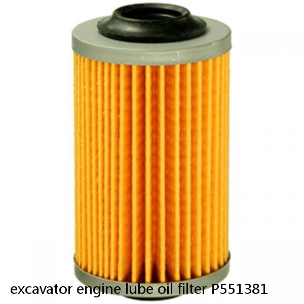 excavator engine lube oil filter P551381 #1 small image