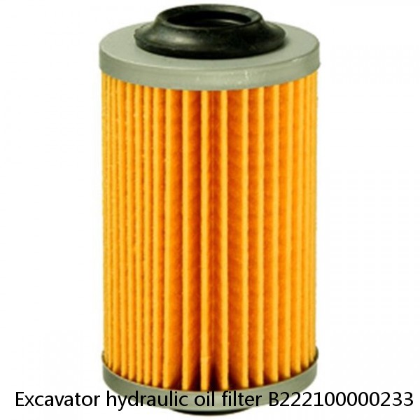 Excavator hydraulic oil filter B222100000233 HF7691 P502270 4448402