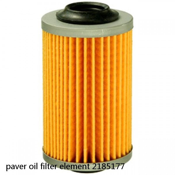 paver oil filter element 2185177