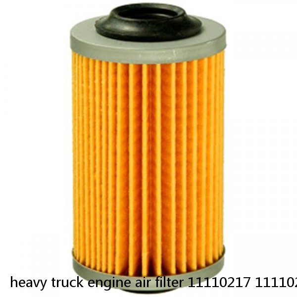 heavy truck engine air filter 11110217 11110218 AF25830 AF25897