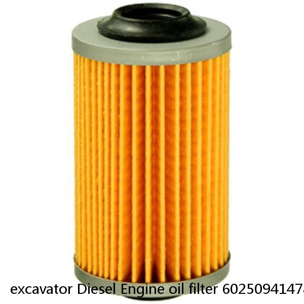 excavator Diesel Engine oil filter 6025094147858662 MMH80990