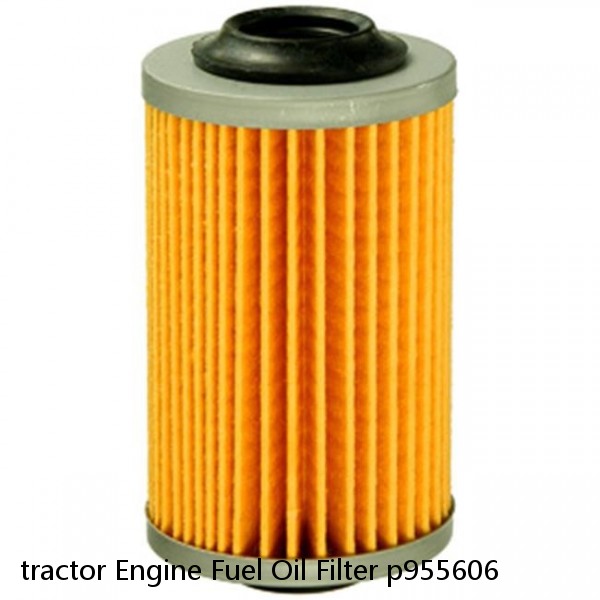 tractor Engine Fuel Oil Filter p955606 #1 small image