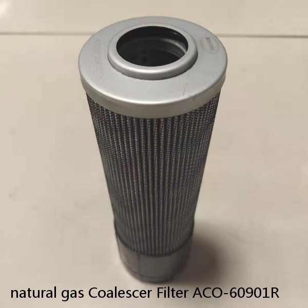 natural gas Coalescer Filter ACO-60901R