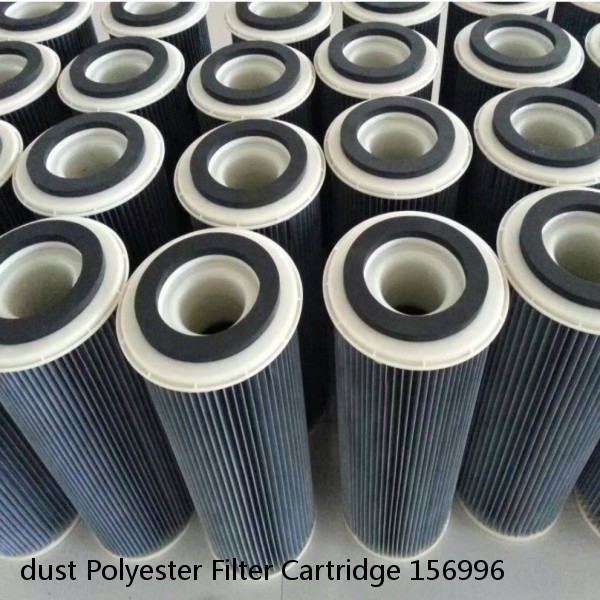 dust Polyester Filter Cartridge 156996 #1 small image