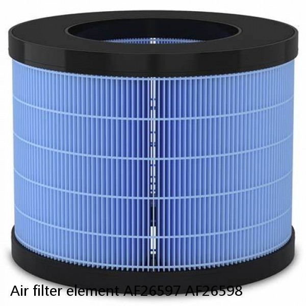 Air filter element AF26597 AF26598 #1 small image