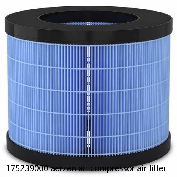 175239000 aerzen air compressor air filter #1 small image