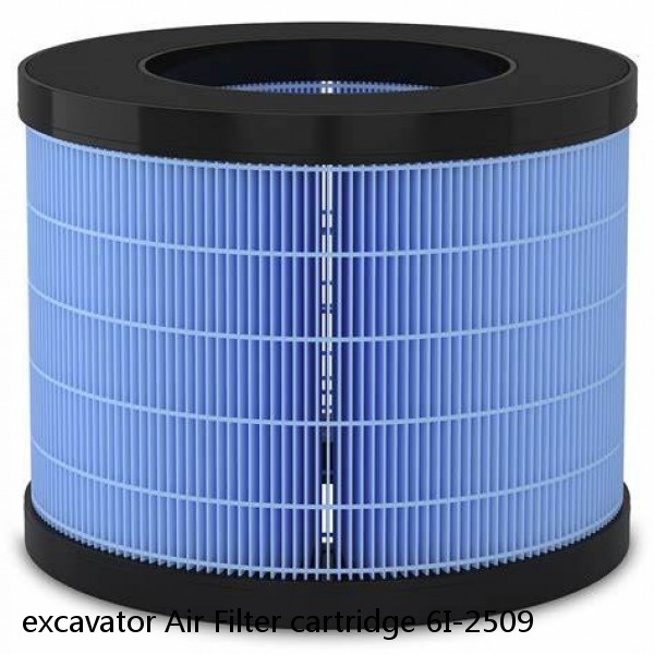 excavator Air Filter cartridge 6I-2509 #1 small image