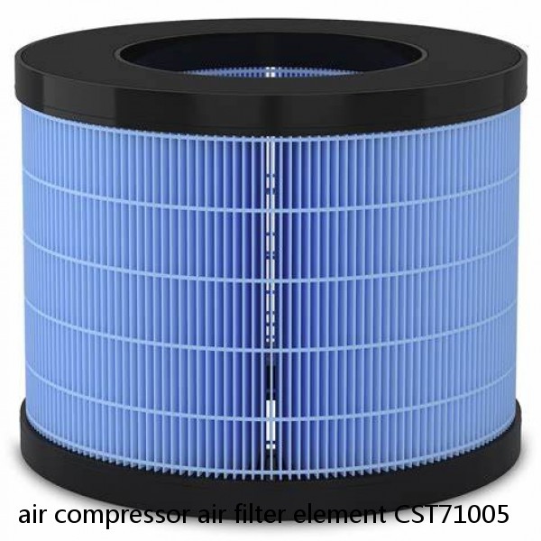 air compressor air filter element CST71005 #1 small image