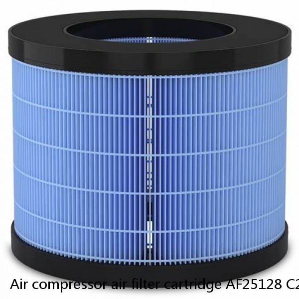 Air compressor air filter cartridge AF25128 C23632/1 1622185501