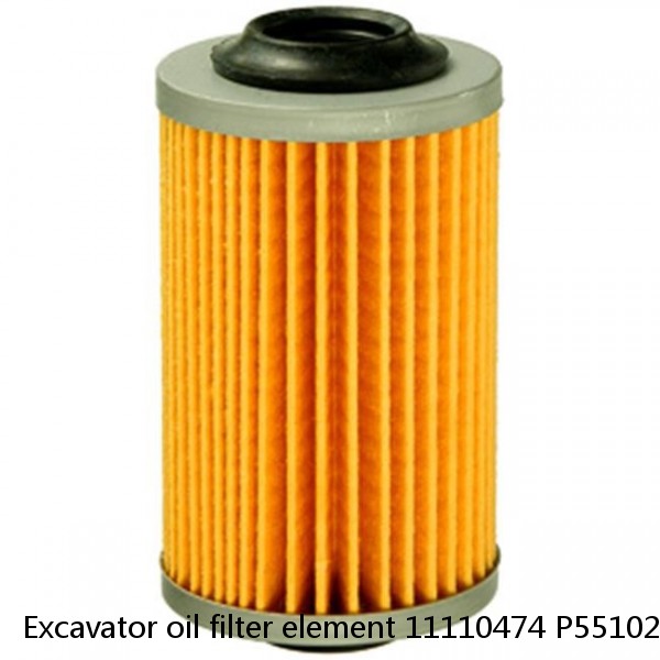 Excavator oil filter element 11110474 P551026 BF1358-SP 11110668 #1 image