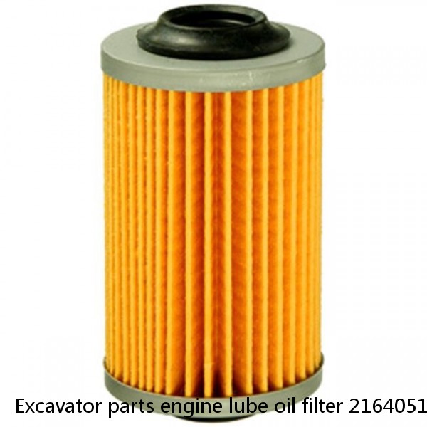 Excavator parts engine lube oil filter 21640514 P553771 #1 image