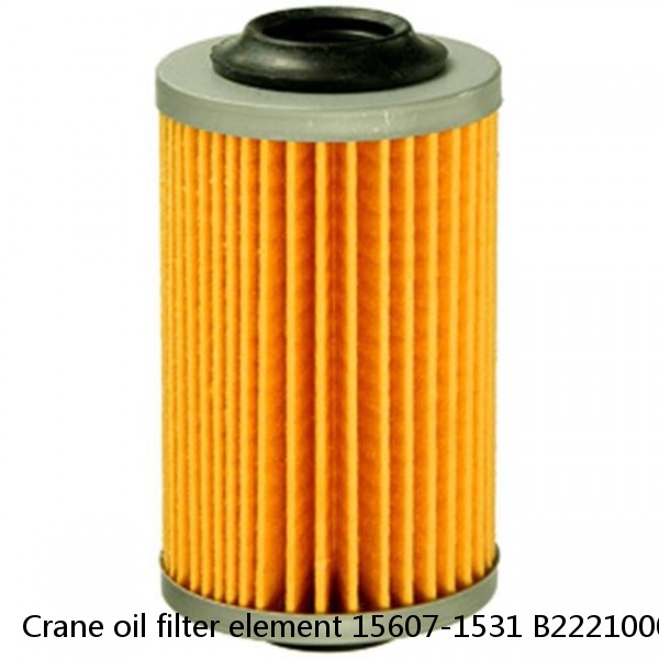 Crane oil filter element 15607-1531 B222100000296 #1 image
