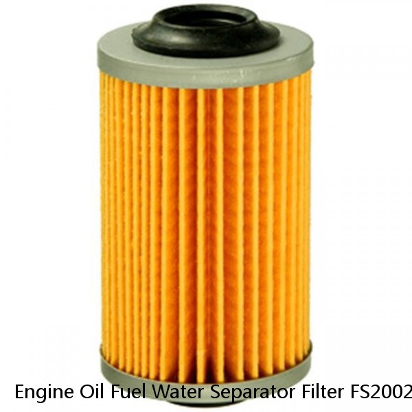 Engine Oil Fuel Water Separator Filter FS20022 #1 image