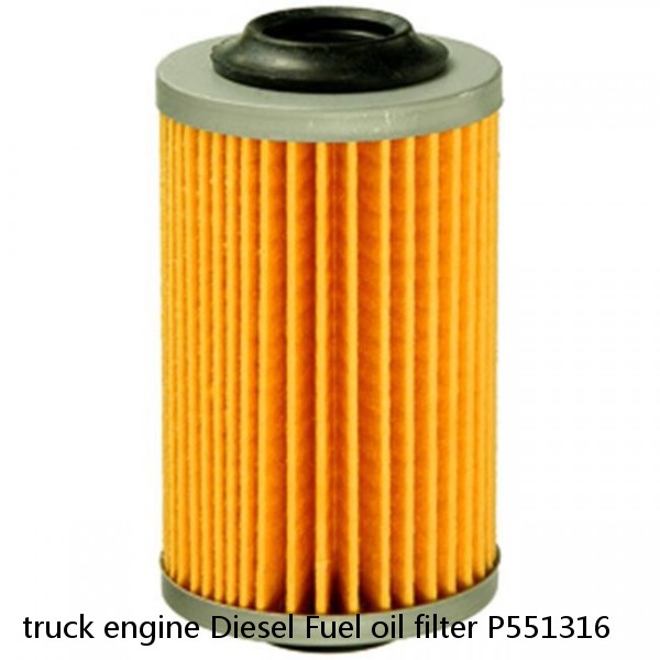 truck engine Diesel Fuel oil filter P551316 #1 image