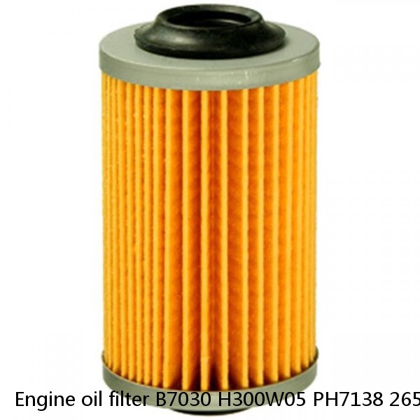 Engine oil filter B7030 H300W05 PH7138 26540238 LF3883 P550367 #1 image