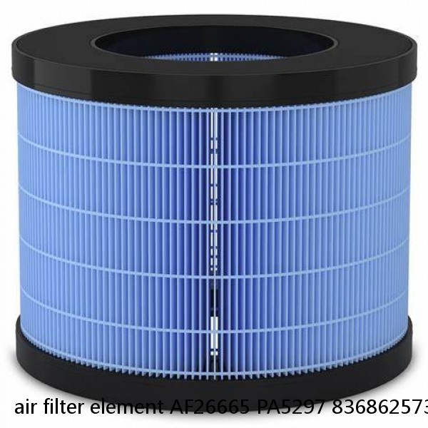 air filter element AF26665 PA5297 836862573 #1 image