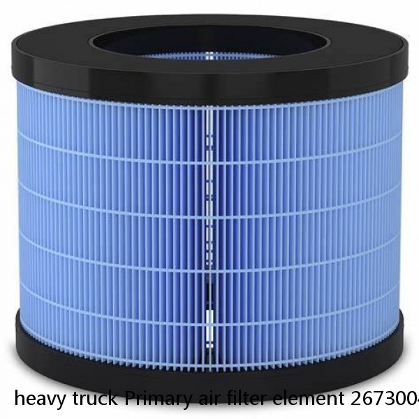 heavy truck Primary air filter element 2673004 2673005 P608305 P608306 #1 image