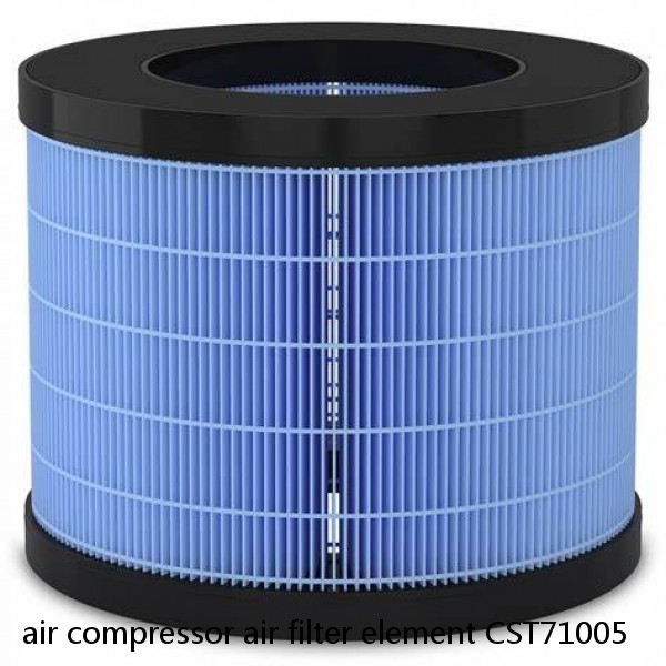 air compressor air filter element CST71005 #1 image