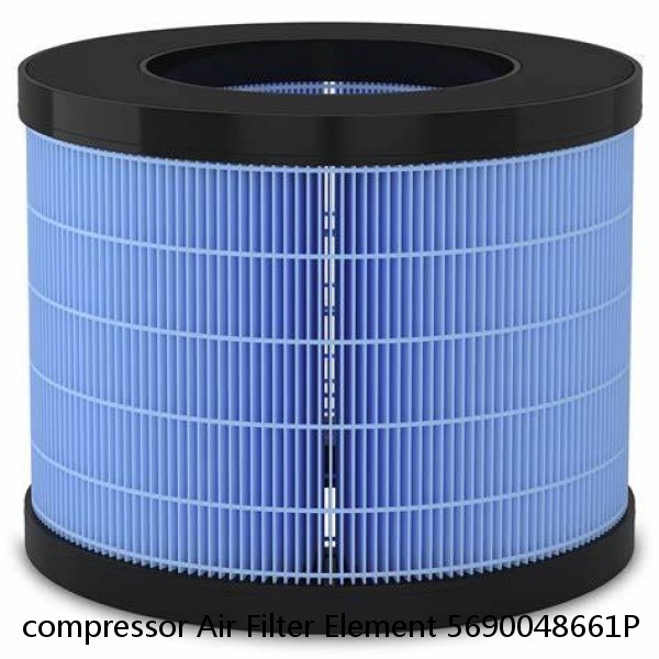 compressor Air Filter Element 5690048661P #1 image